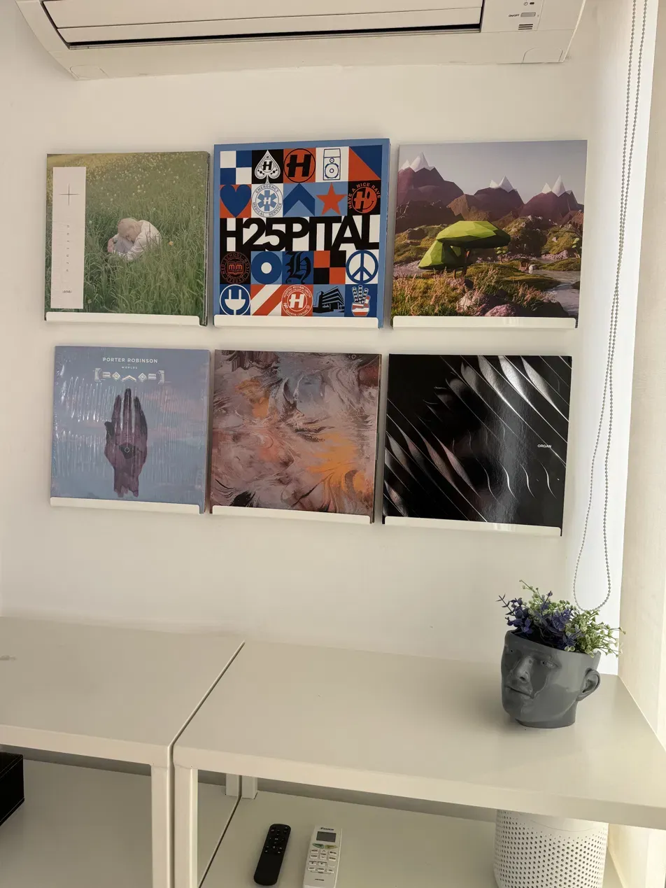 The record wall — drum & bass and electronic sleeves on shelf rails